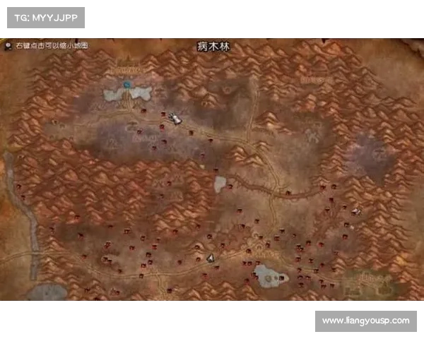 魔兽世界英雄集结全方位通关攻略与高效团队协作实用技巧详解