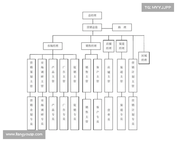 安联赞助商与其他品牌在市场营销策略上的差异分析与比较
