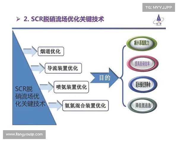 全面剖析洛塞尔索赛场综合表现的五大关键影响因素深度研究全解析